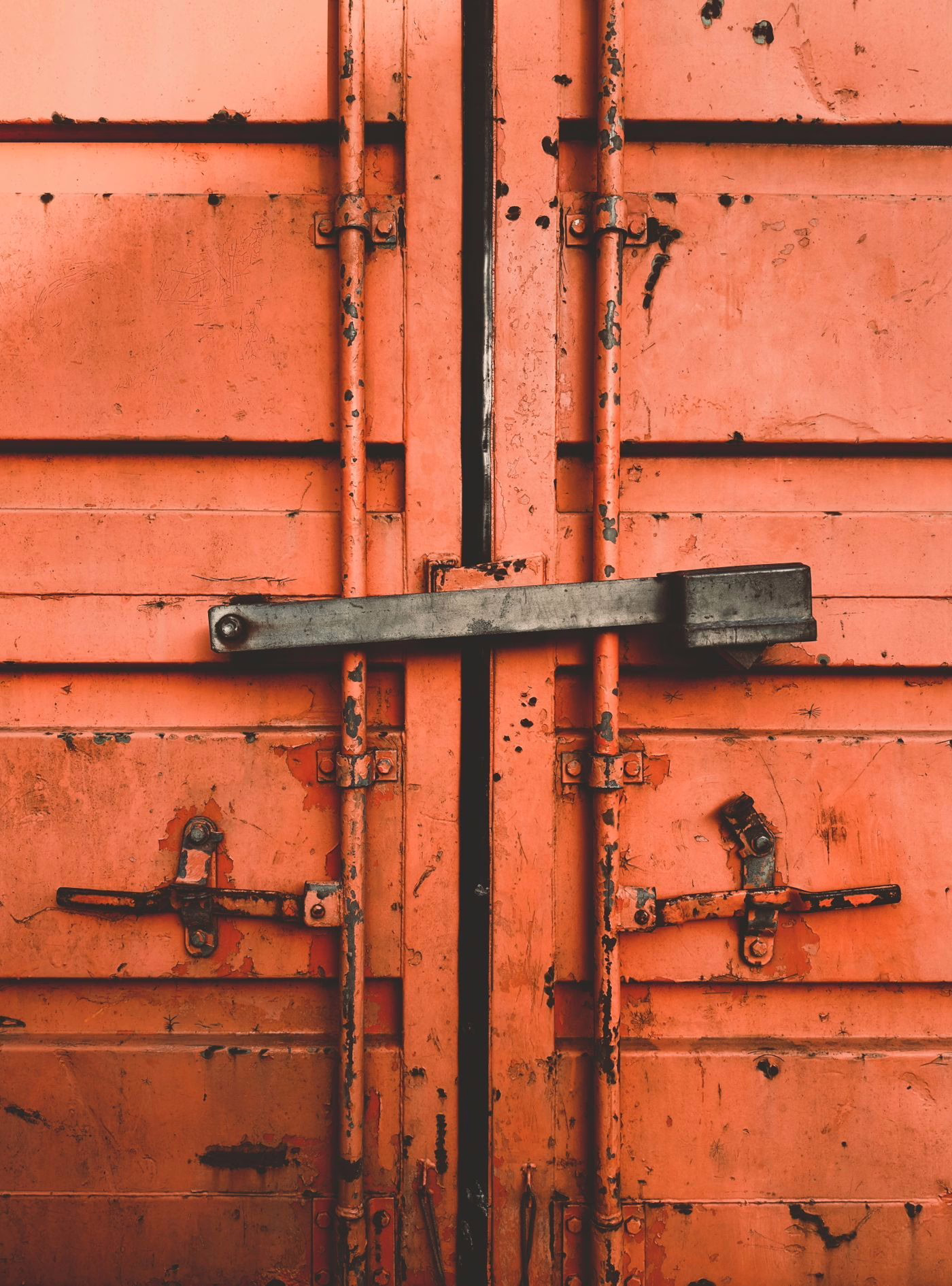 Portes cargo d'origine en acier d'un conteneur maritime, fermées par une barre